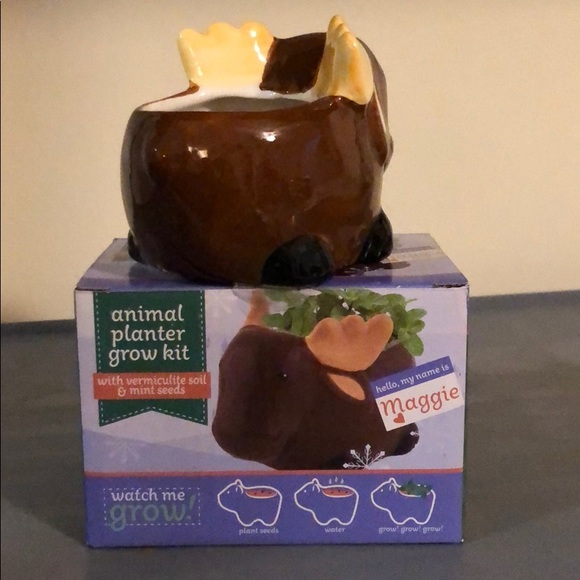 Animal Planter Grow Kit. Maggie. New. - Picture 2 of 4